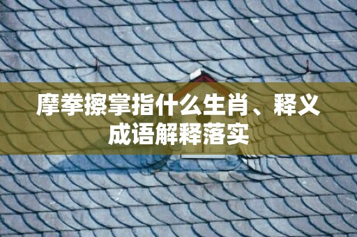 摩拳擦掌指什么生肖、释义成语解释落实