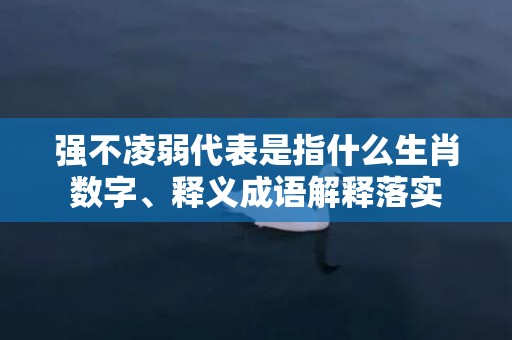 强不凌弱代表是指什么生肖数字、释义成语解释落实