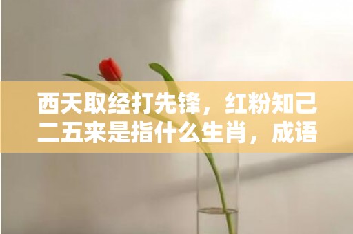 西天取经打先锋，红粉知己二五来是指什么生肖，成语释义解释落实