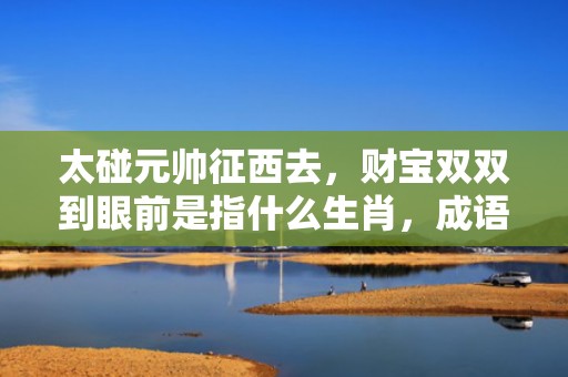 太碰元帅征西去，财宝双双到眼前是指什么生肖，成语释义解释落实