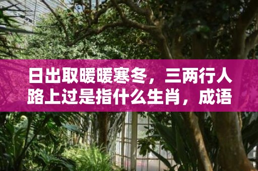 日出取暖暖寒冬，三两行人路上过是指什么生肖，成语释义解释落实