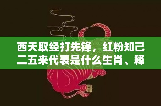 西天取经打先锋，红粉知己二五来代表是什么生肖、释义成语解释落实