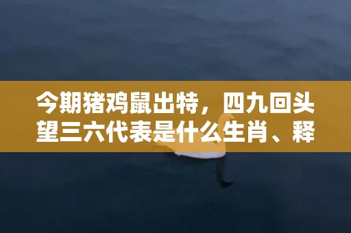 今期猪鸡鼠出特，四九回头望三六代表是什么生肖、释义成语解释落实