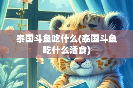 泰国斗鱼吃什么(泰国斗鱼吃什么活食)