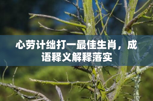 心劳计绌打一最佳生肖，成语释义解释落实