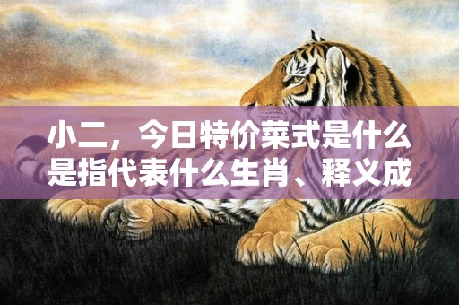 小二，今日特价菜式是什么是指代表什么生肖、释义成语解释落实