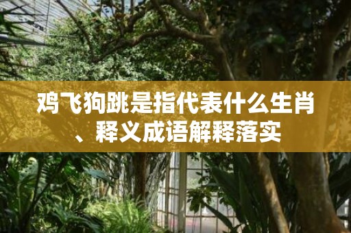 鸡飞狗跳是指代表什么生肖、释义成语解释落实
