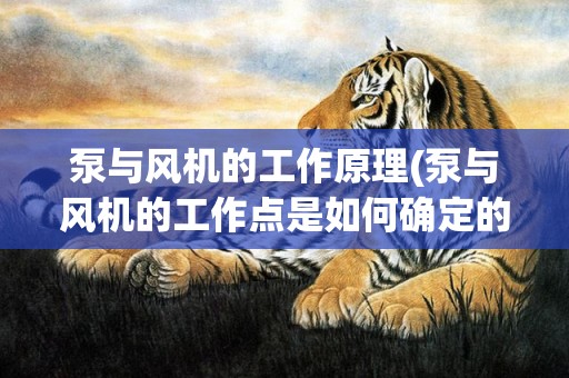 泵与风机的工作原理(泵与风机的工作点是如何确定的)