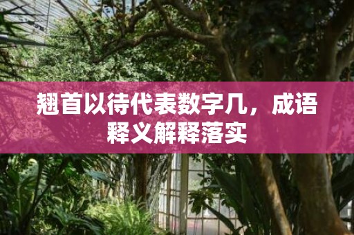 翘首以待代表数字几，成语释义解释落实