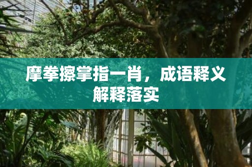 摩拳擦掌指一肖，成语释义解释落实