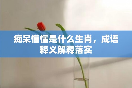 痴呆懵懂是什么生肖，成语释义解释落实