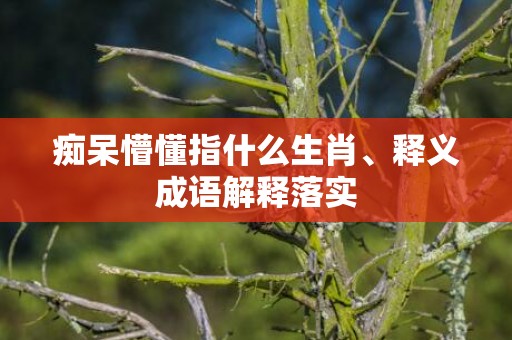 痴呆懵懂指什么生肖、释义成语解释落实