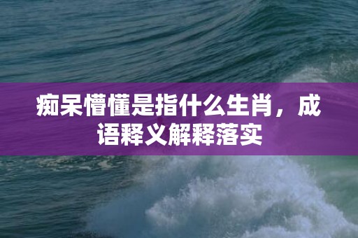 痴呆懵懂是指什么生肖，成语释义解释落实