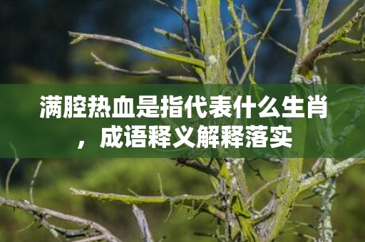 满腔热血是指代表什么生肖，成语释义解释落实