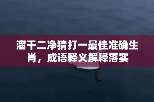 溜干二净猜打一最佳准确生肖，成语释义解释落实
