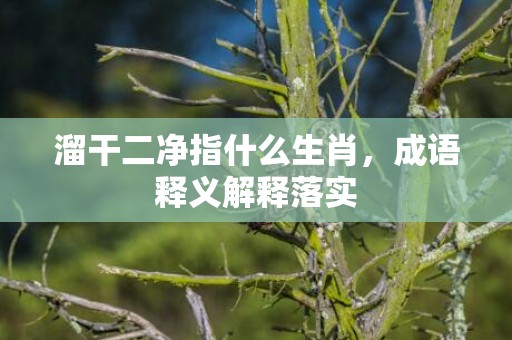 溜干二净指什么生肖，成语释义解释落实