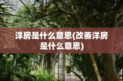 洋房是什么意思(改善洋房是什么意思)