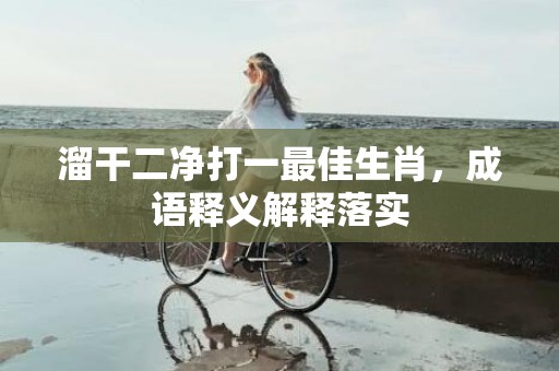 溜干二净打一最佳生肖，成语释义解释落实