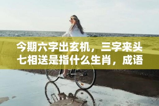 今期六字出玄机，三字来头七相送是指什么生肖，成语释义解释落实