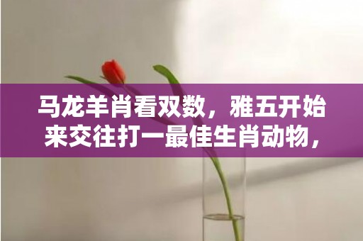 马龙羊肖看双数，雅五开始来交往打一最佳生肖动物，成语释义解释落实