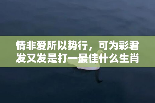 情非爱所以势行，可为彩君发又发是打一最佳什么生肖，成语释义解释落实