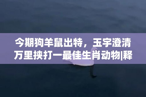 今期狗羊鼠出特，玉宇澄清万里挟打一最佳生肖动物|释义成语解释落实