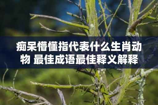 痴呆懵懂指代表什么生肖动物 最佳成语最佳释义解释答