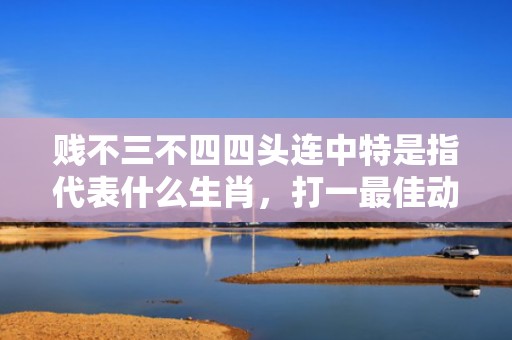 贱不三不四四头连中特是指代表什么生肖，打一最佳动物成语释义解释落实