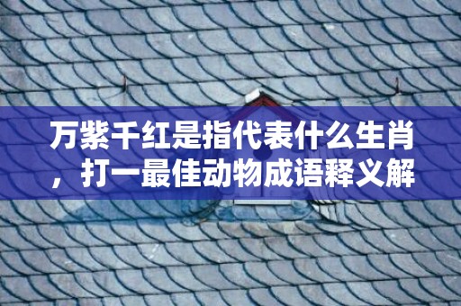 万紫千红是指代表什么生肖，打一最佳动物成语释义解释落实
