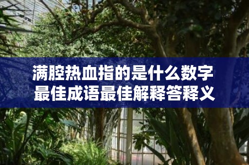 满腔热血指的是什么数字 最佳成语最佳解释答释义
