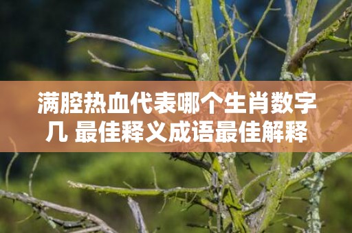 满腔热血代表哪个生肖数字几 最佳释义成语最佳解释答