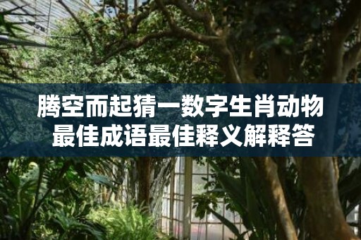 腾空而起猜一数字生肖动物 最佳成语最佳释义解释答