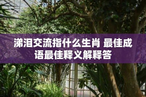 涕泪交流指什么生肖 最佳成语最佳释义解释答