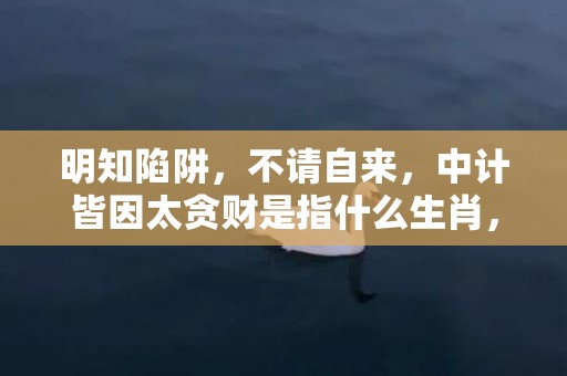 明知陷阱，不请自来，中计皆因太贪财是指什么生肖，成语释义解释落实