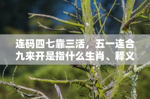 连码四七靠三活，五一连合九来开是指什么生肖、释义成语解释落实