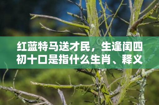 红蓝特马送才民，生逢闰四初十口是指什么生肖、释义成语解释落实