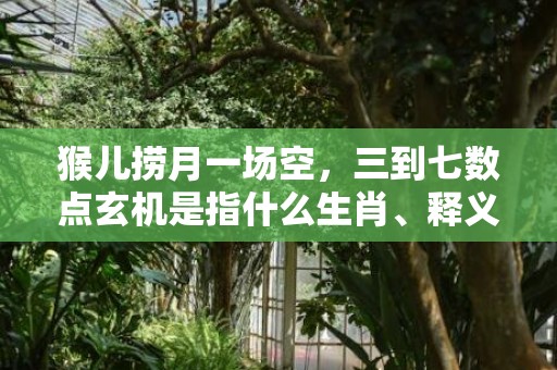 猴儿捞月一场空，三到七数点玄机是指什么生肖、释义成语解释落实