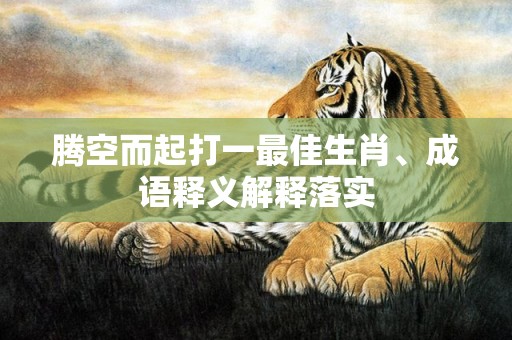 腾空而起打一最佳生肖、成语释义解释落实