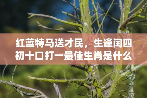 红蓝特马送才民，生逢闰四初十口打一最佳生肖是什么"最佳成语最佳释义解释答"