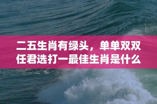 二五生肖有绿头，单单双双任君选打一最佳生肖是什么"最佳成语最佳释义解释答"插图