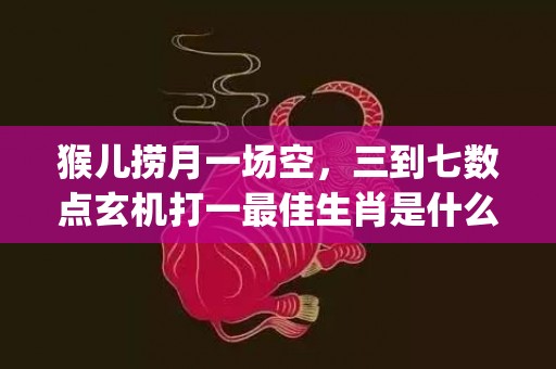 猴儿捞月一场空，三到七数点玄机打一最佳生肖是什么"最佳成语最佳释义解释答"插图