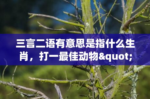 三言二语有意思是指什么生肖，打一最佳动物"最佳成语最佳释义解释答"