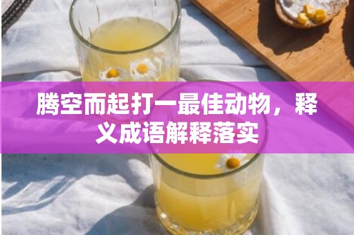 腾空而起打一最佳动物，释义成语解释落实