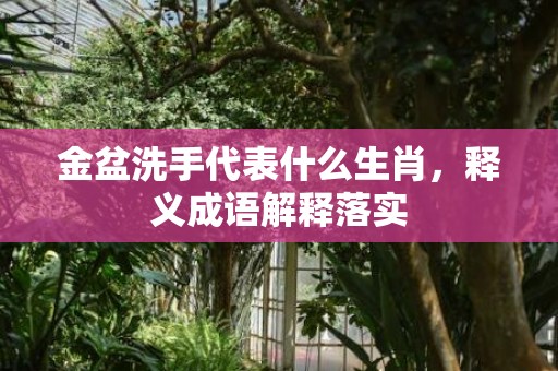 金盆洗手代表什么生肖，释义成语解释落实