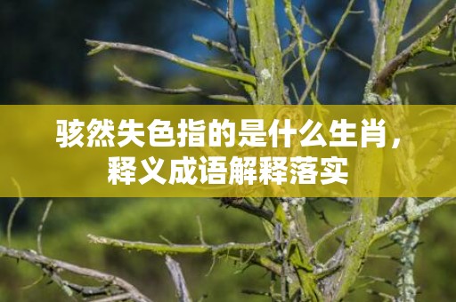 骇然失色指的是什么生肖，释义成语解释落实