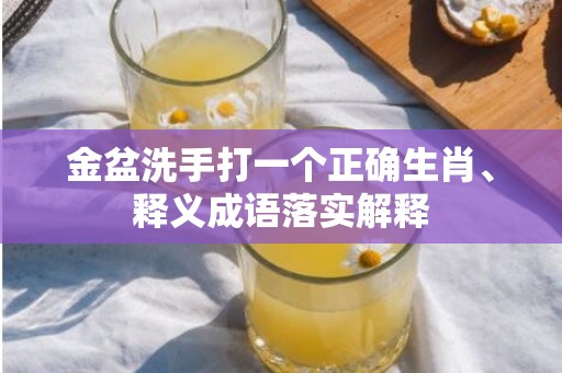 金盆洗手打一个正确生肖、释义成语落实解释