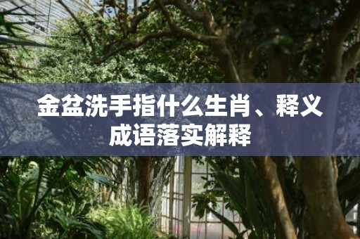 金盆洗手指什么生肖、释义成语落实解释
