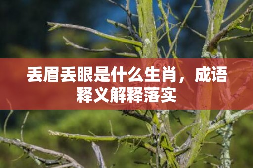 丢眉丢眼是什么生肖，成语释义解释落实