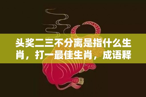 头奖二三不分离是指什么生肖，打一最佳生肖，成语释义解释落实