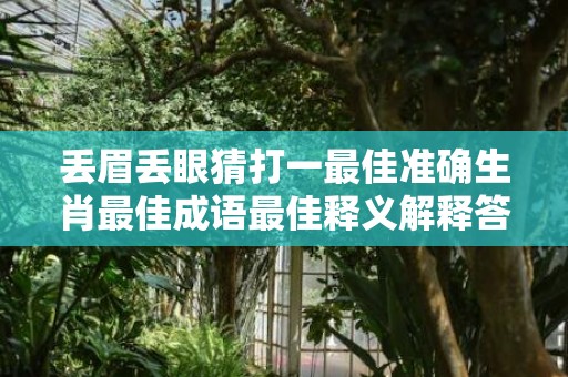 丢眉丢眼猜打一最佳准确生肖最佳成语最佳释义解释答
